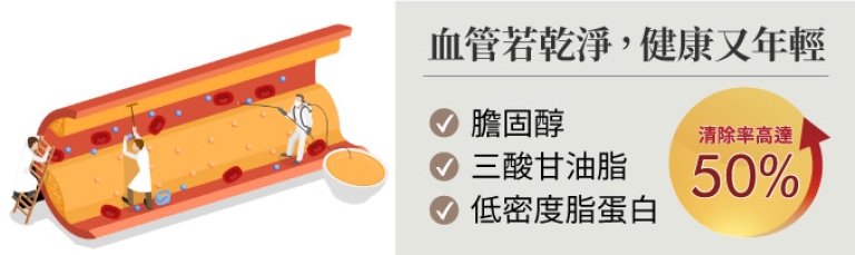 血管清道夫示意圖，強調膽固醇、三酸甘油脂與低密度脂蛋白的清除率高達50%。